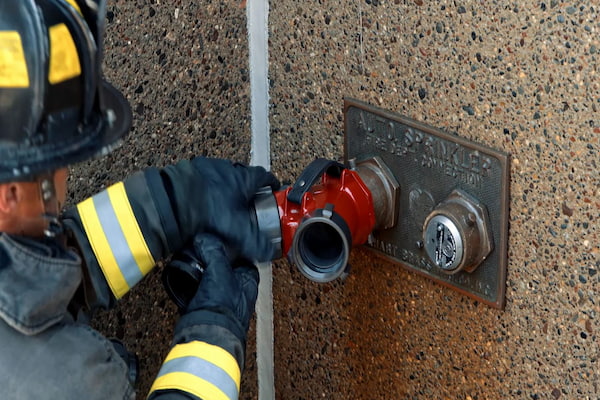 شیر سیامی چیست